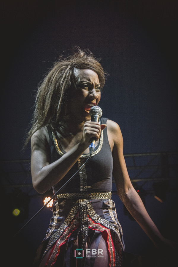 fotografiadeconciertos-madrid-gaspardroyant-theexcitements