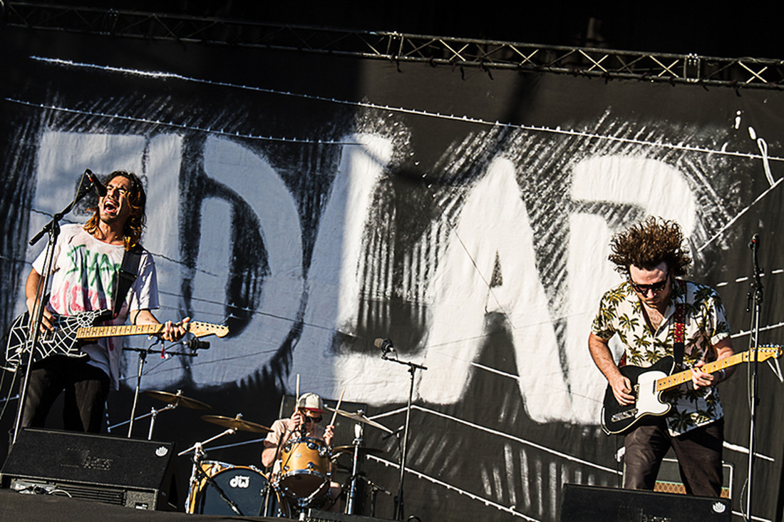 Fidlar Fotografia Musical