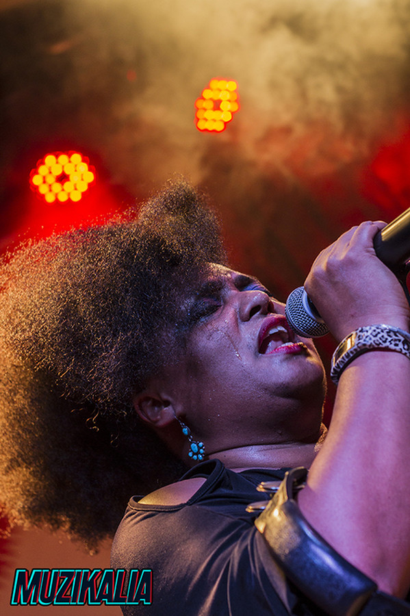 TheBellrays_Fotografia Musical Madrid